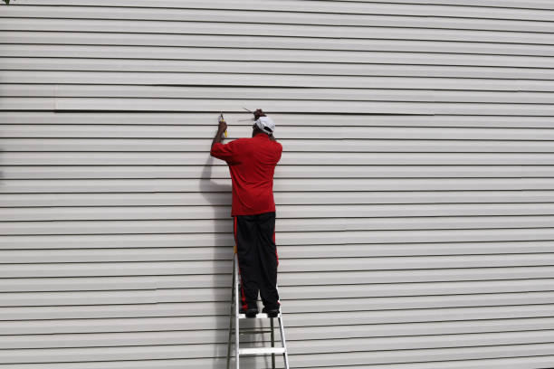 Best Insulated Siding Installation  in Plano, KY